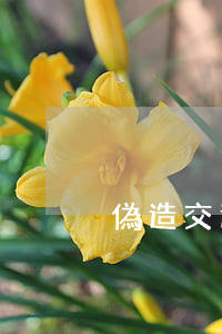 偽造交通事故如何處罰？